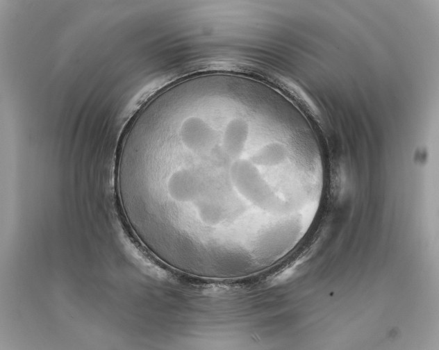 X0000091710938200709141117