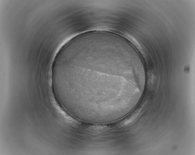 X0000091710939200709141117