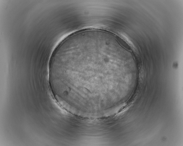 X0000091710940200709141117