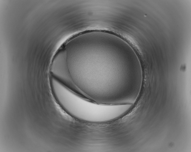 X0000091710942200709141117