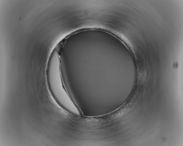 X0000091710943200709141117