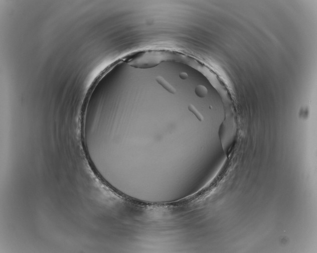 X0000091710944200709141117