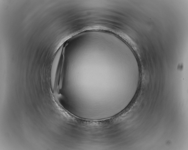 X0000091710945200709141117