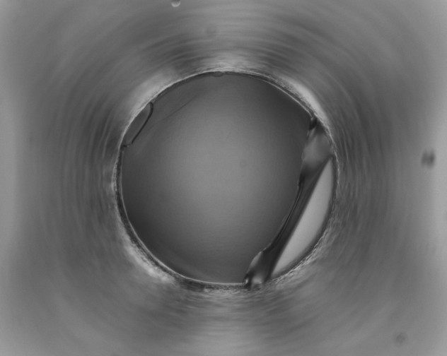 X0000091710946200709141117