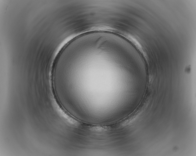 X0000091710947200709141117