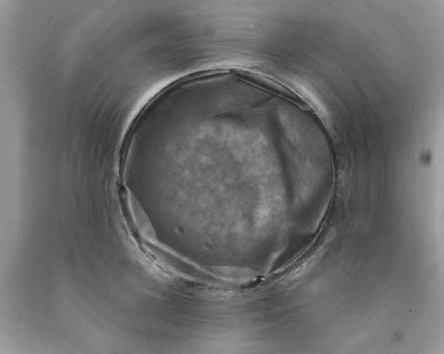 X0000091710948200709141117