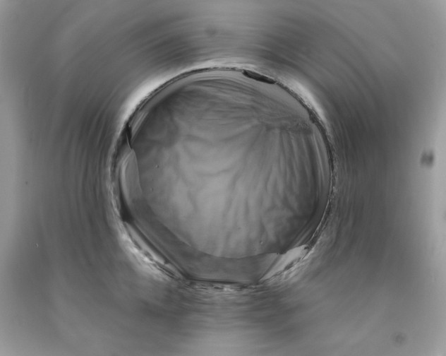 X0000091710952200709141117