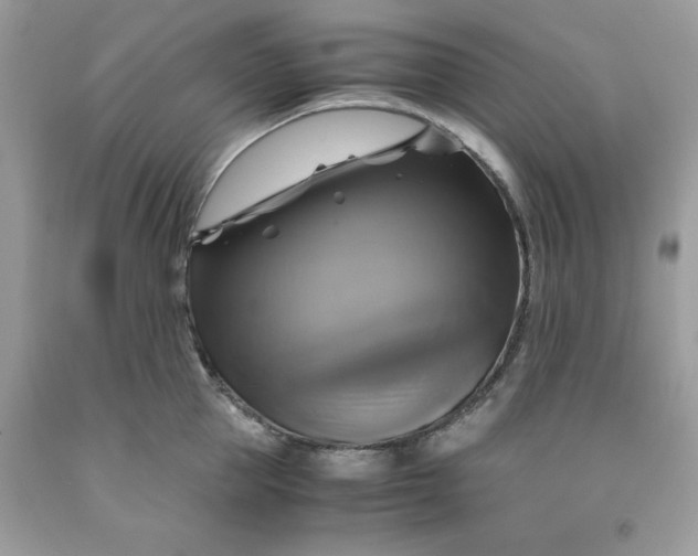 X0000091710953200709141117