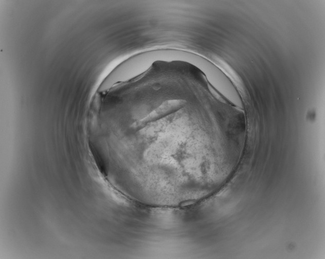 X0000091710956200709141117