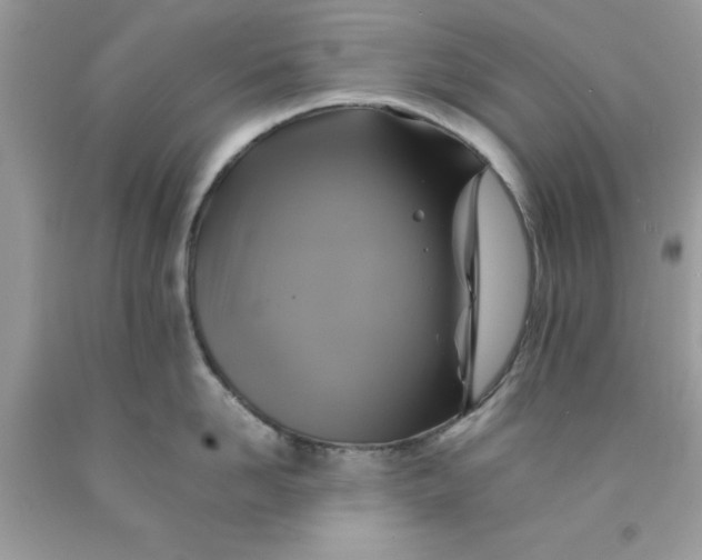 X0000091710958200709141117