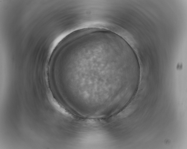 X0000091710960200709141117