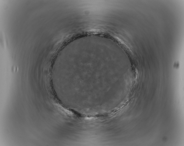 X0000091710961200709141117