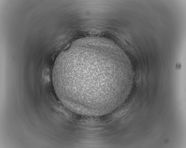 X0000091710962200709141116