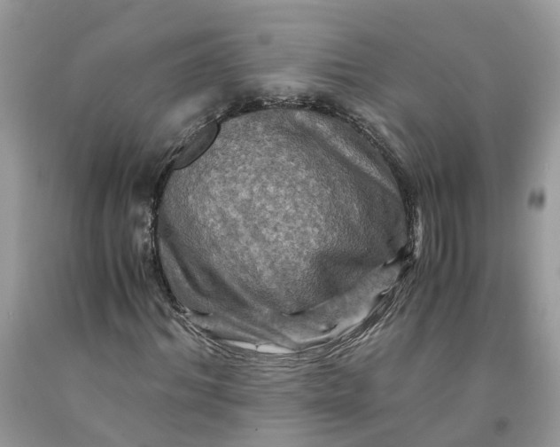 X0000091710964200709141116