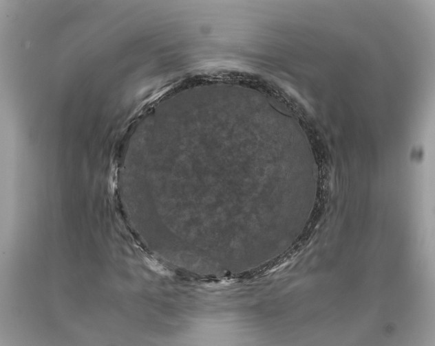 X0000091710965200709141116