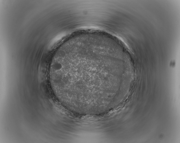 X0000091710967200709141116