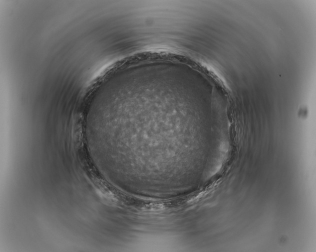 X0000091710968200709141116