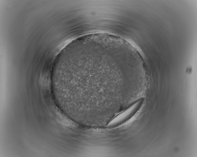 X0000091710969200709141116