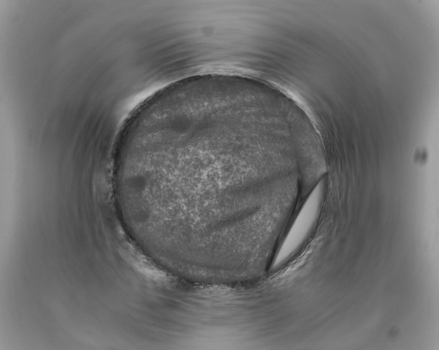 X0000091710971200709141116