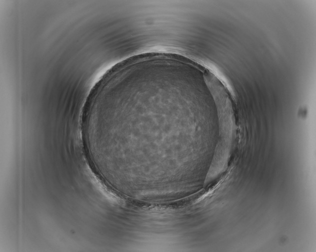 X0000091710972200709141116