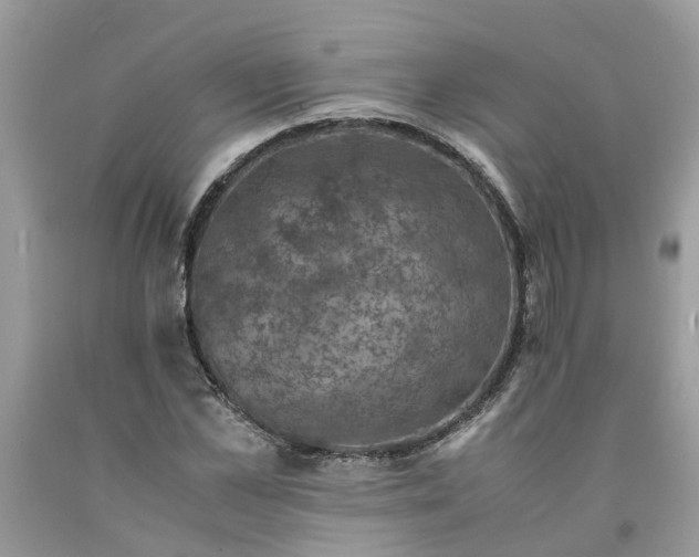 X0000091710973200709141116