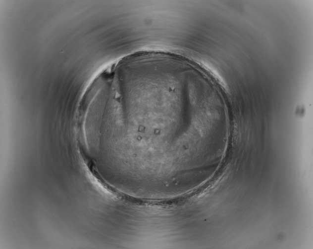 X0000091710976200709141116