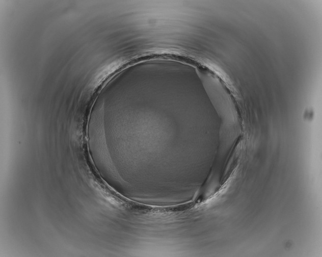 X0000091710977200709141116