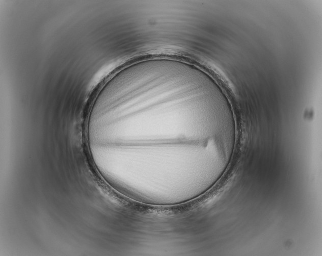 X0000091710978200709141116