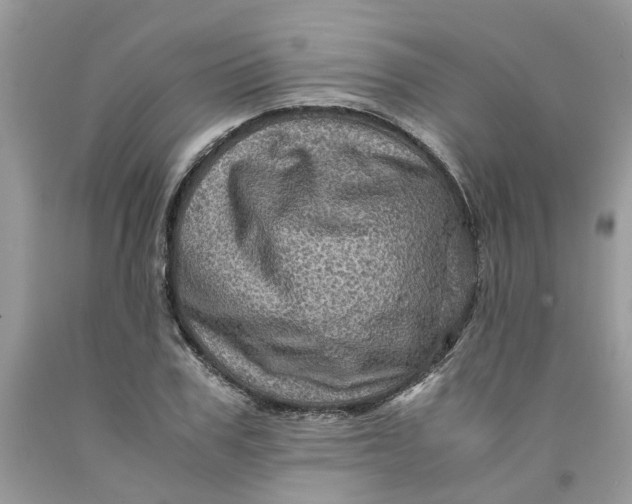 X0000091710979200709141116