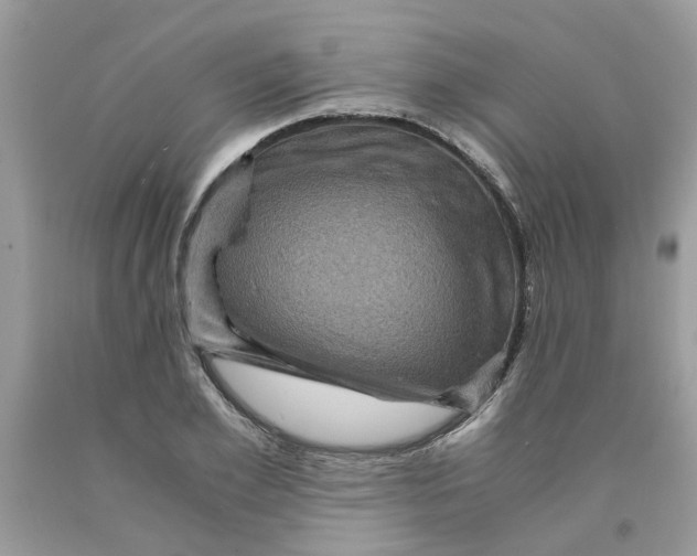 X0000091710981200709141116