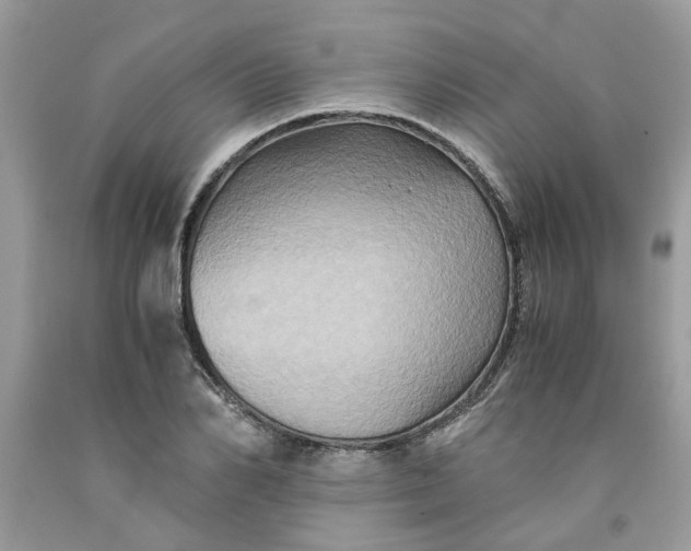 X0000091710982200709141116