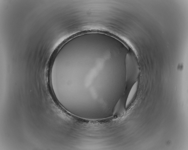 X0000091710983200709141116