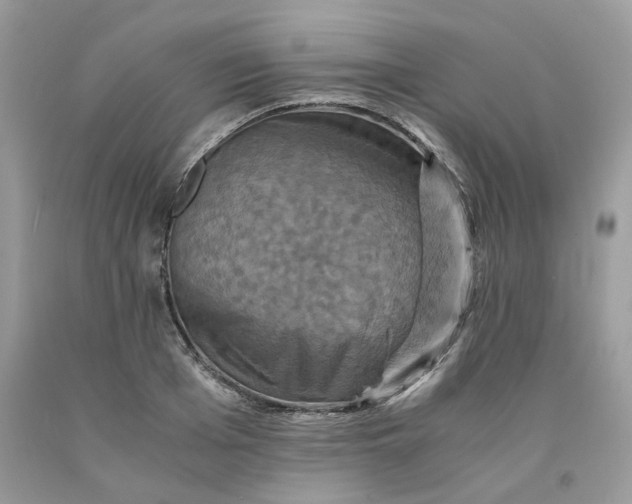 X0000091710985200709141116