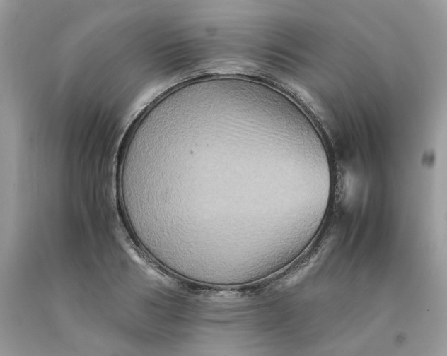 X0000091710986200709141116