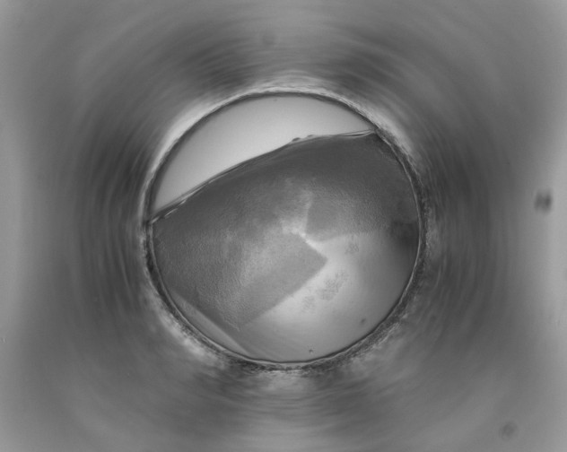 X0000091710990200709141116