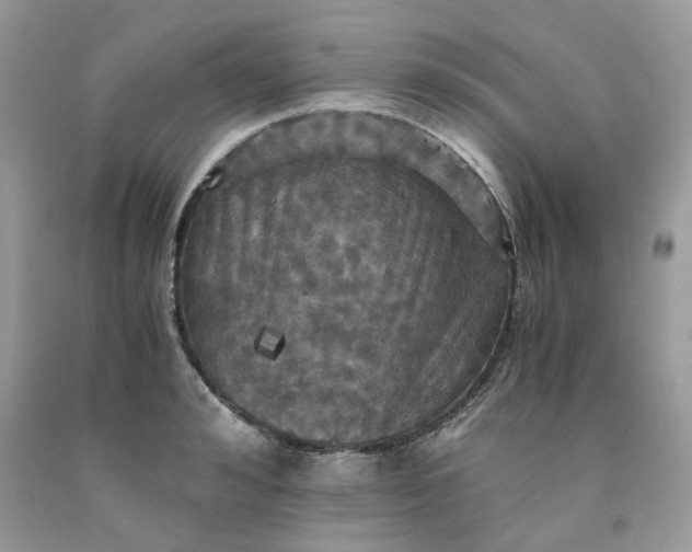 X0000091710992200709141116