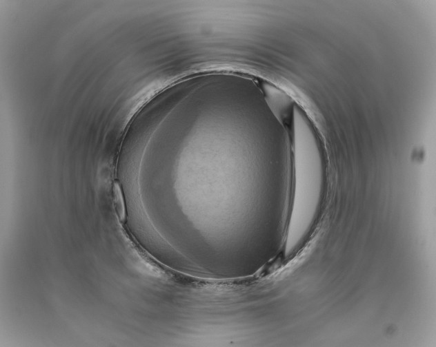 X0000091710993200709141116