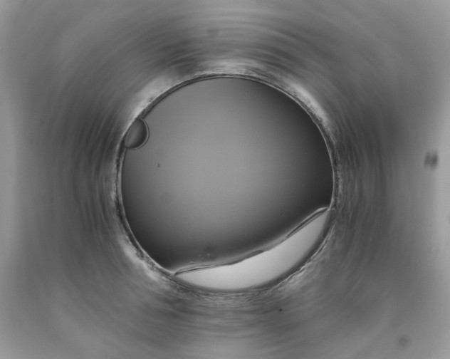 X0000091710994200709141116