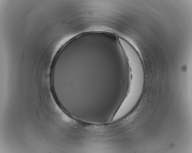 X0000091710995200709141116