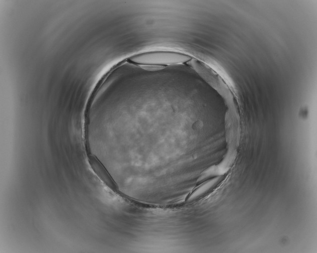 X0000091710996200709141116