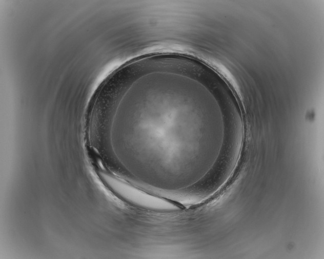 X0000091710997200709141116