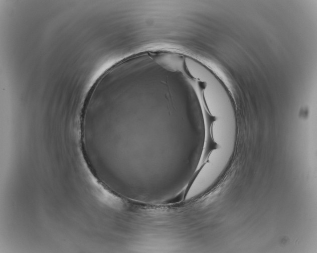 X0000091710999200709141116