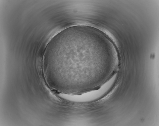 X0000091711001200709141116