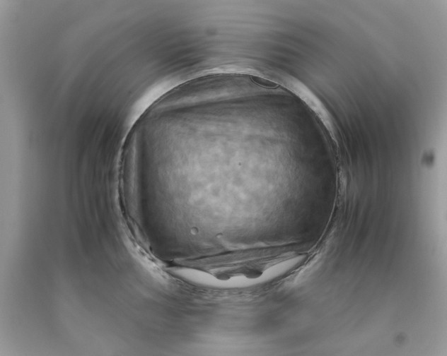 X0000091711002200709141116