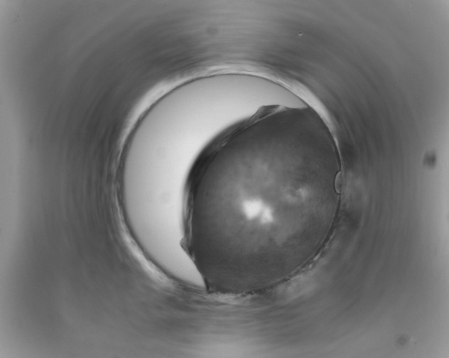 X0000091711005200709141116