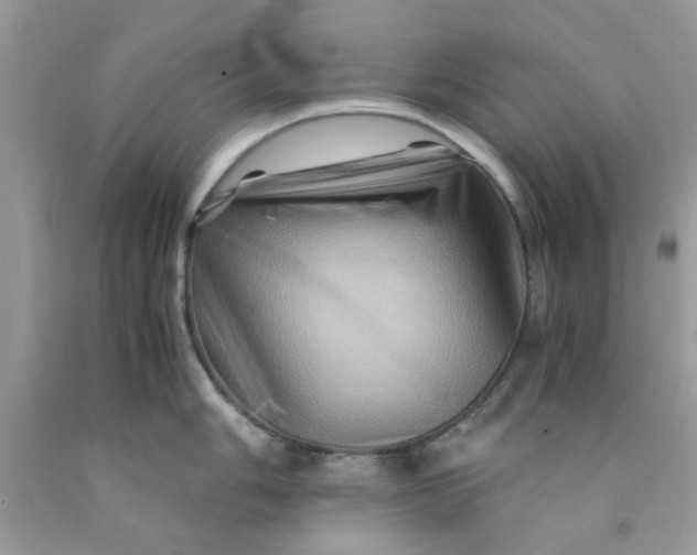 X0000091711006200709141116