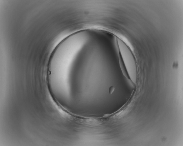 X0000091711007200709141116