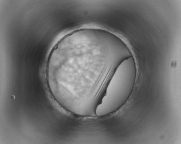 X0000091711008200709141116