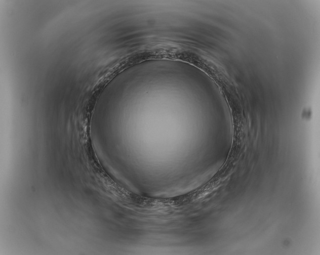 X0000091711013200709141115