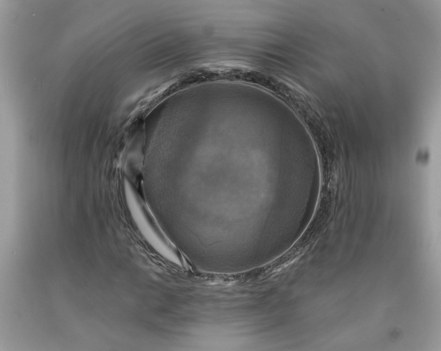 X0000091711014200709141115